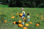 resIMG_20141004_130816_3394.JPG